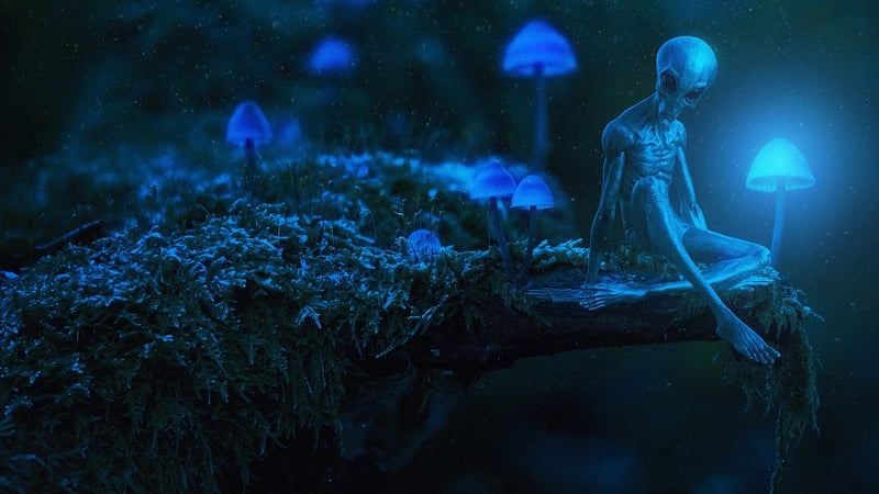 Glowing Mushrooms